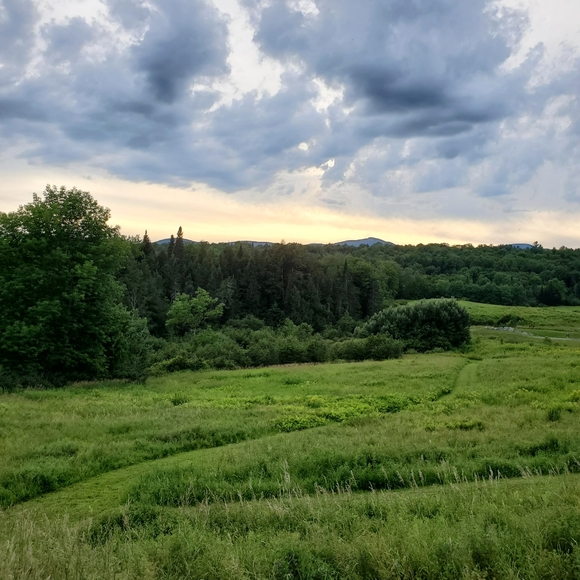 Meet the Seller - Hi, I'm Kym! - Picture 4 of 14